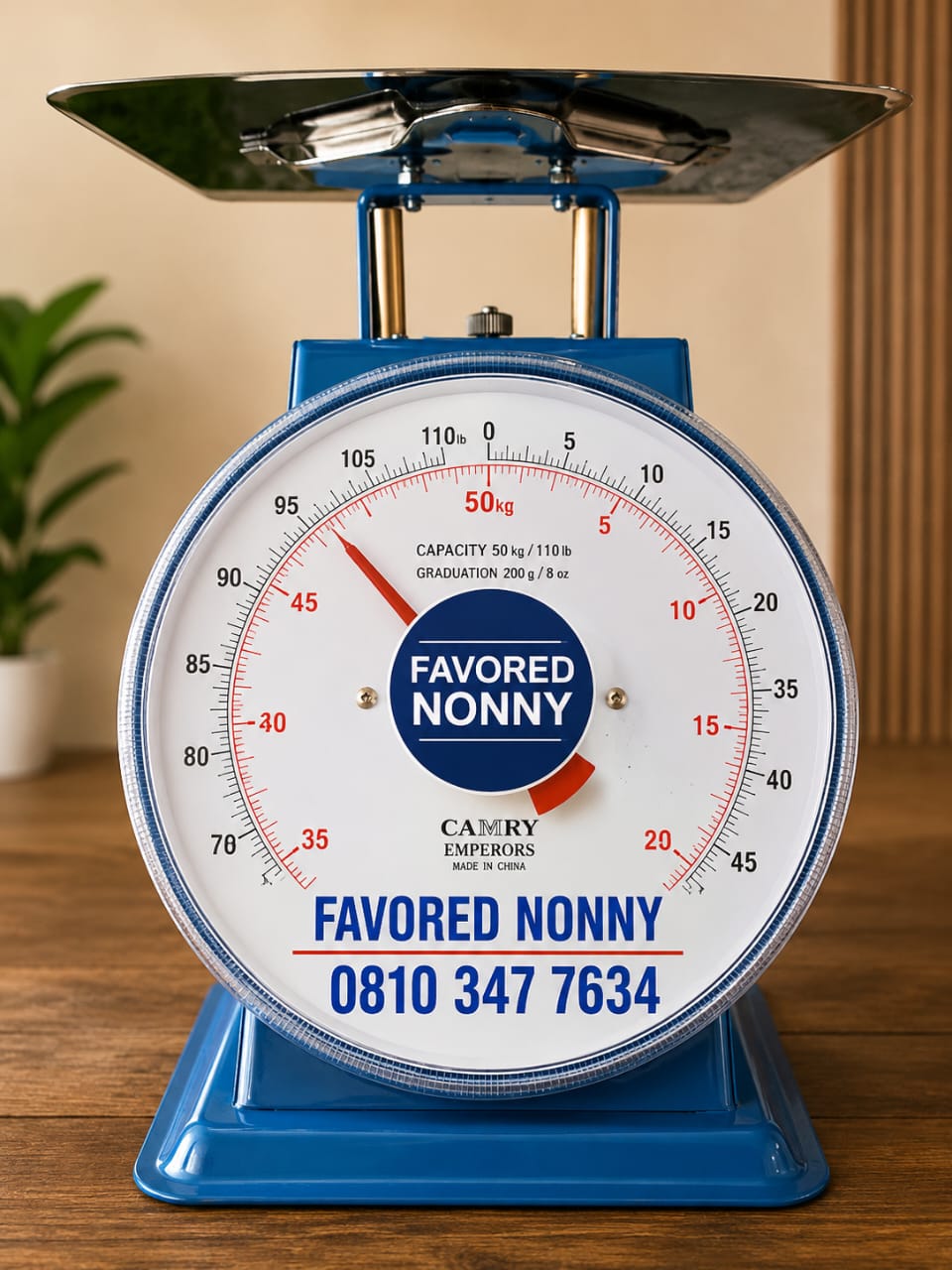 50KG Table Scale